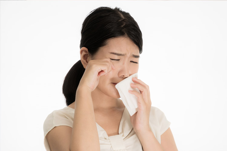 花粉症（季節性アレルギー性鼻炎）のイメージ写真